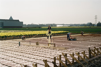 Construction of the new Museum Building